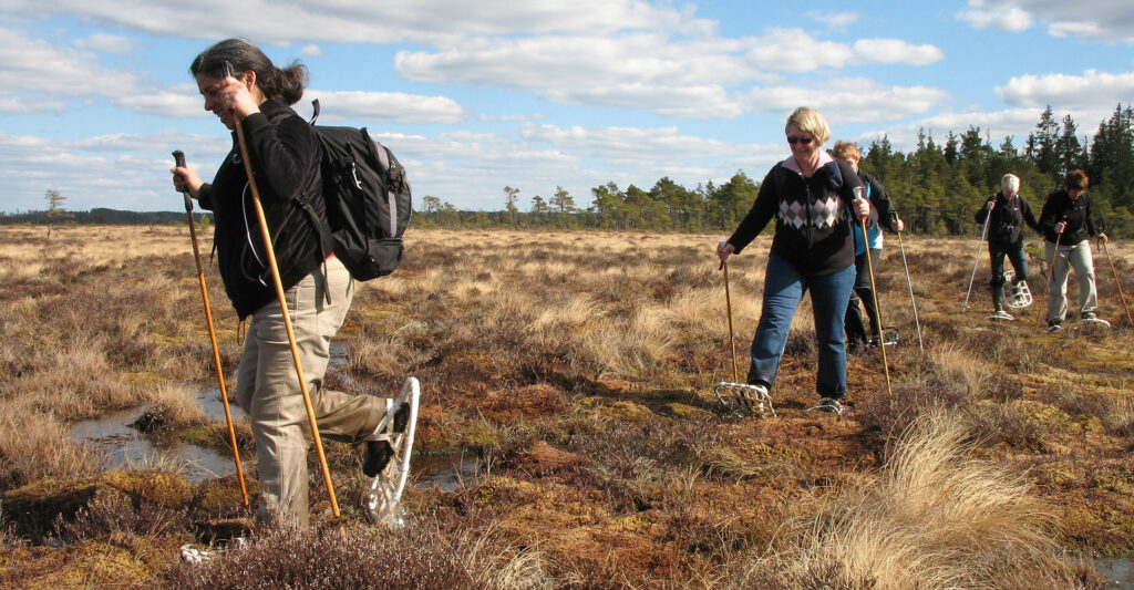 store mosse nationalpark vandring