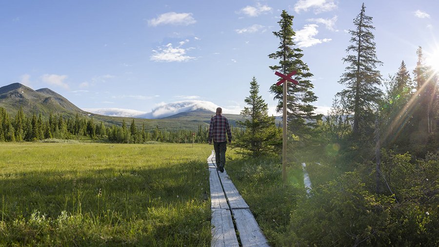 besoksliv region vasterbotten 200820