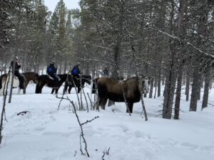 Ridtur i skogen på vintern