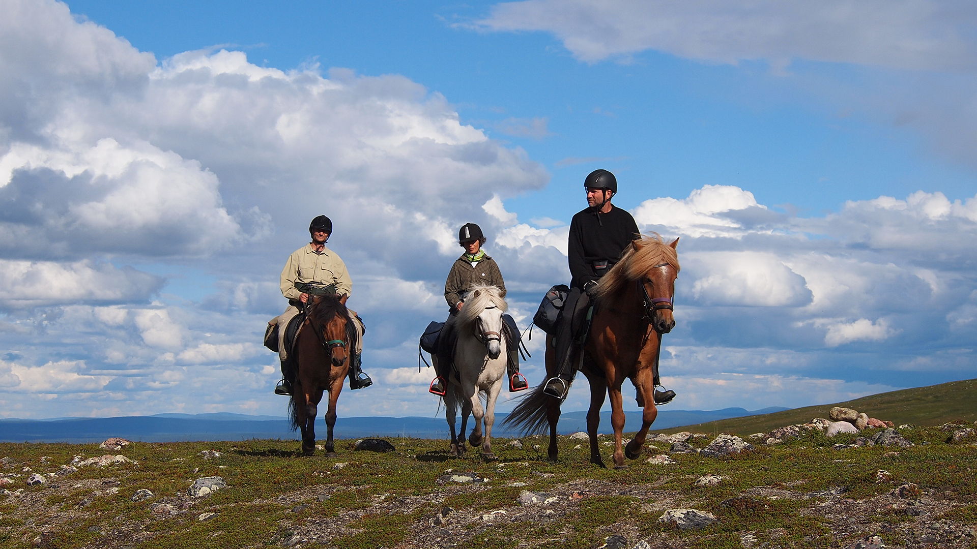 Islandshästar med ryttare på fjäll.