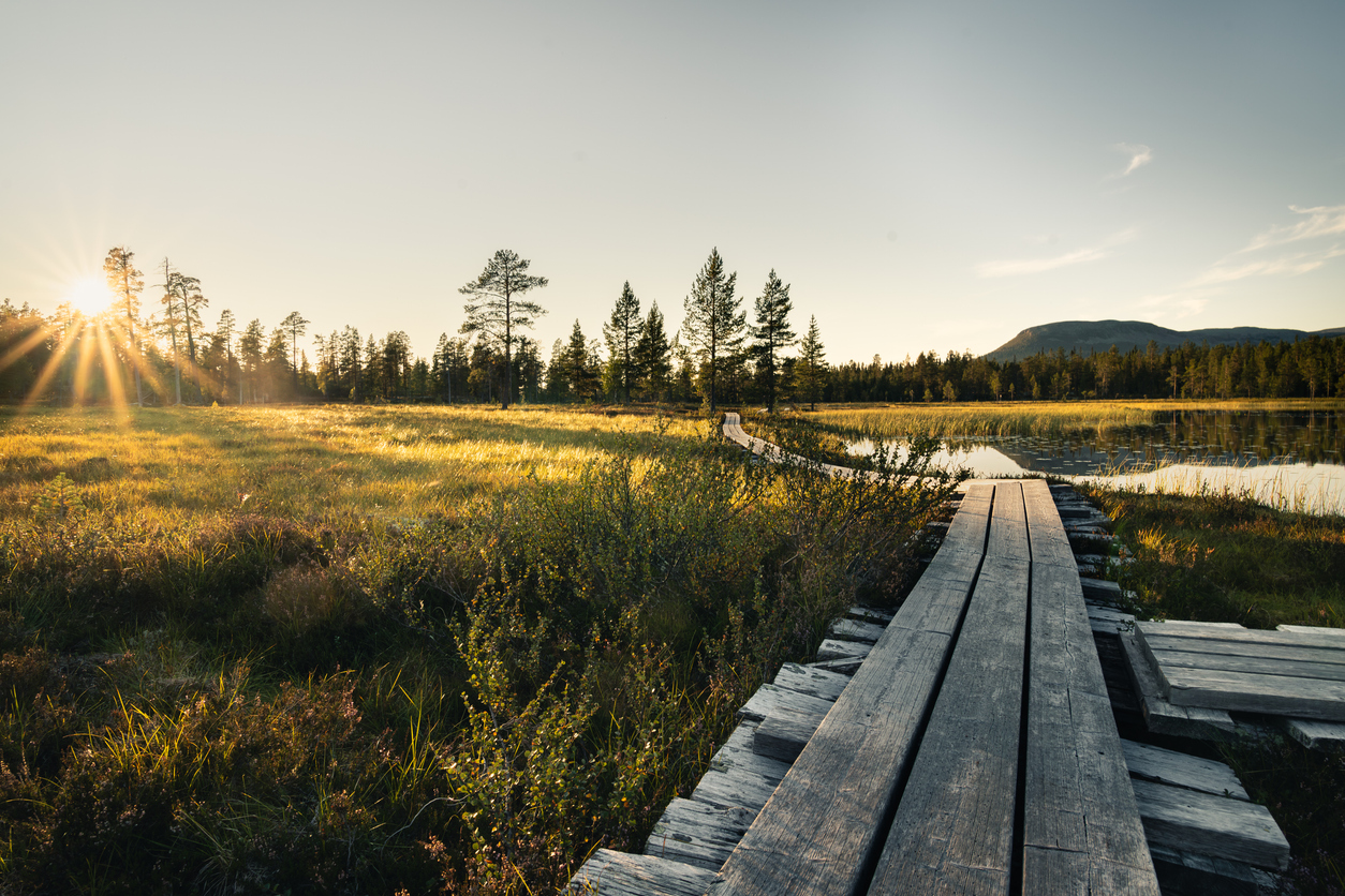 Hållbar naturturism - grund