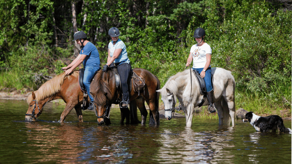 Floriane lever sin barndomsdröm – Horses of Taiga är årets ekoturismpristagare  
