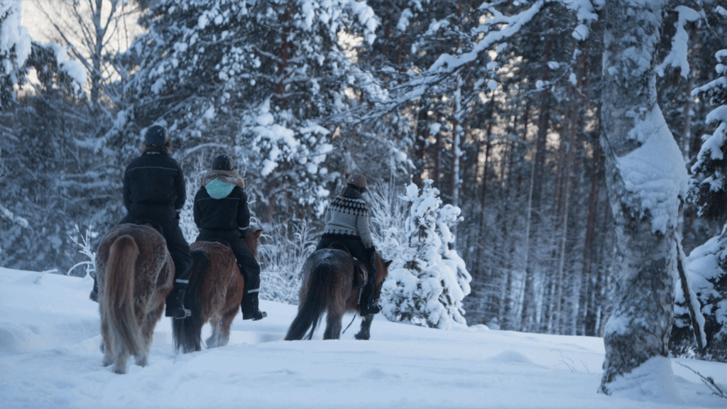 Floriane lever sin barndomsdröm – Horses of Taiga är årets ekoturismpristagare  