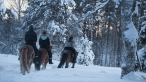 Horses of Taiga Winter